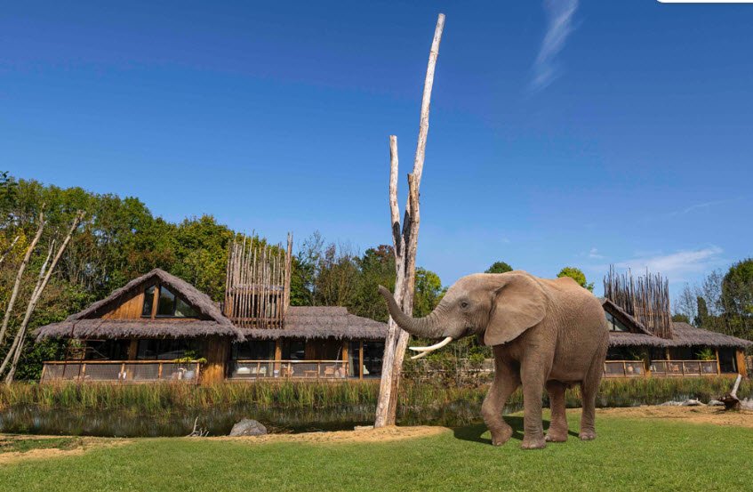 West Midlands Safari Park, United Kingdom